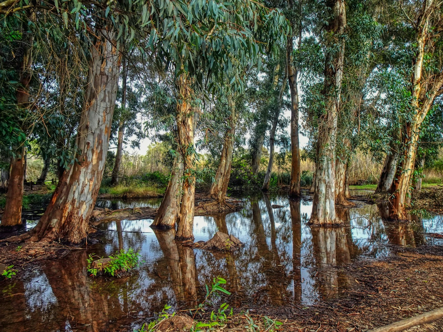 Eventos científicos que transformam o Acre e Rondônia